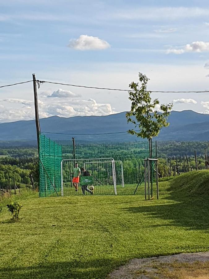 Vineyard Cottage Lan Na Hribu Semic Buitenkant foto
